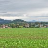 DSC00295